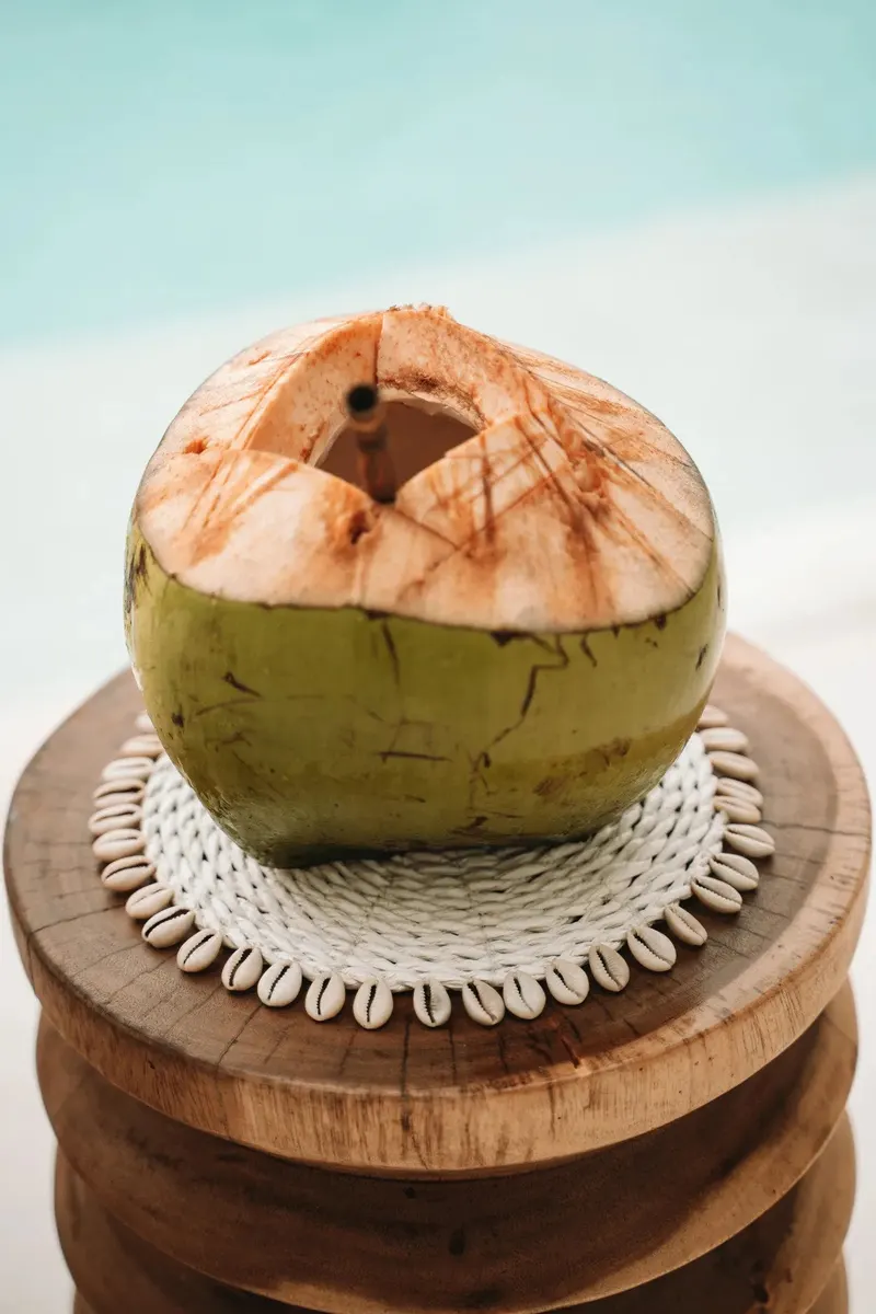 The Seagrass Shell Pan Coaster Untersetzer von Bazar Bizar, Größe 23 × 23 × 1 cm, Weiß, Ansicht 2