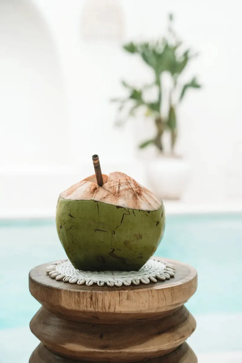 The Seagrass Shell Pan Coaster Untersetzer von Bazar Bizar, Größe 23 × 23 × 1 cm, Weiß, Ansicht 4