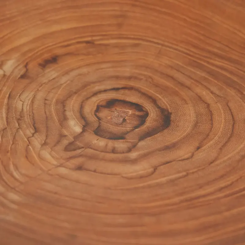 The Teak Root Organic Plate Teller aus Teakwurzelholz von Bazar Bizar, Größe 25 × 25 × 3 cm, Natur, Ansicht 6