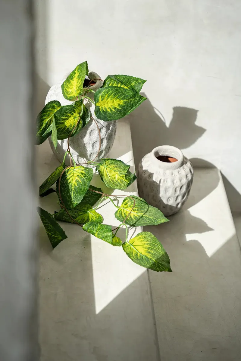 The Trendy Vase aus Terrakotta von Bazar Bizar, Größe M, Betongrau, Ansicht 4