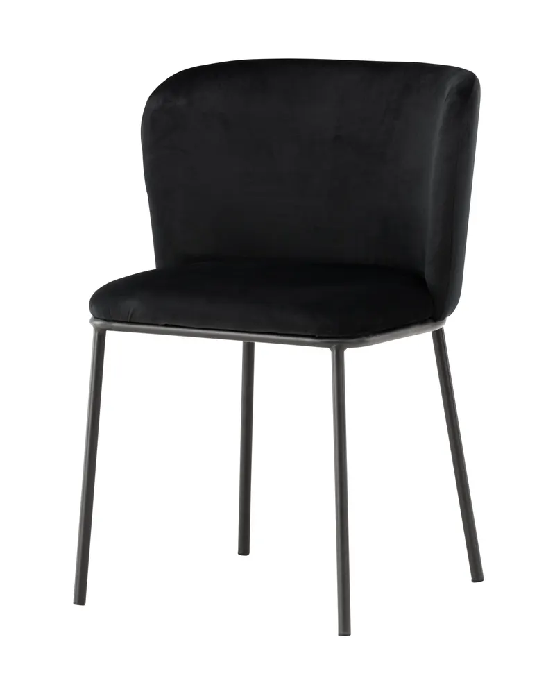 Edina Esszimmerstühle im 2er-Set in Schwarz, Polyester-Samt, Ansicht 4