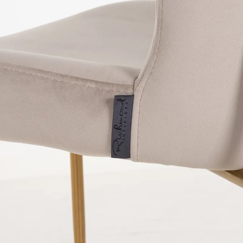 Esszimmerstuhl Odessa, Khaki velvet, feuerhemmend von Richmond Interiors, Produktansicht 6