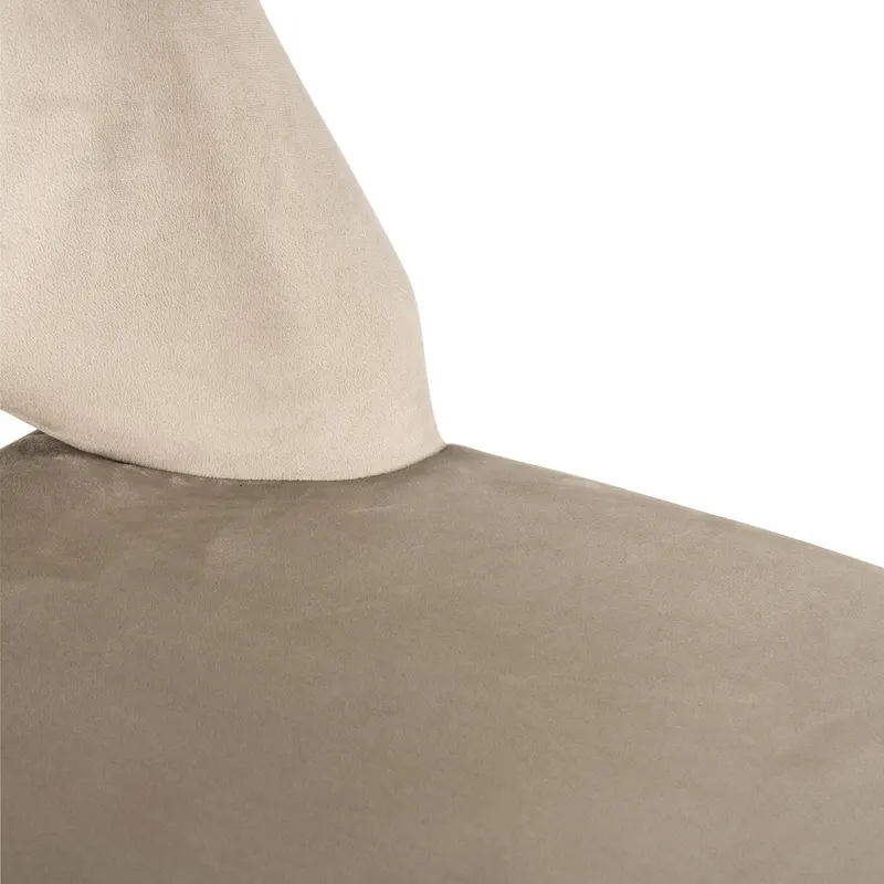 Esszimmerstuhl Tabitha, Trendy nature von Richmond Interiors, Produktansicht 9