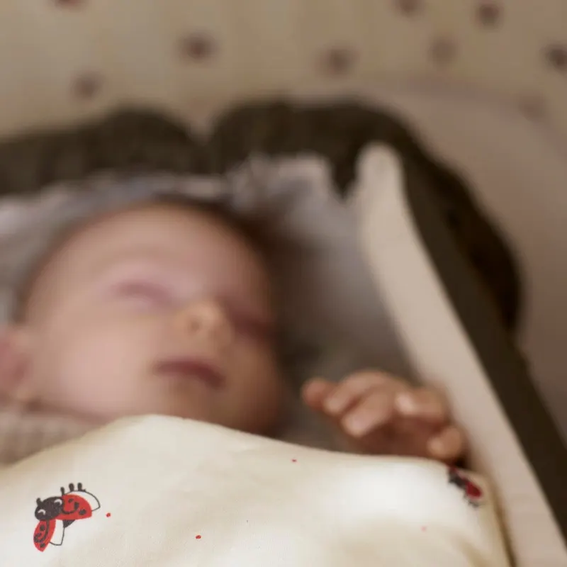 FILIBABBA Babybettwäsche Lucky aus GOTS-zertifizierter Bio-Baumwolle, Naturweiß mit rotem Käfermotiv, Bettbezug 70 × 100 cm; Kissenbezug 45 × 40 cm, Ansicht 2
