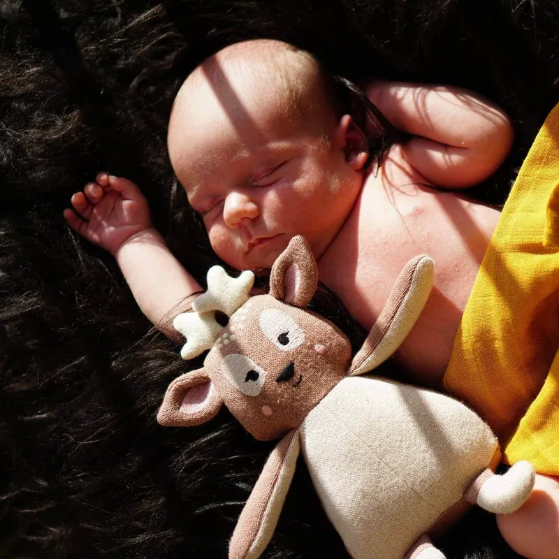 Kuscheltier Bea the Bambi aus Bio-Baumwolle, FILIBABBA, Brownie (braun), Ansicht 4