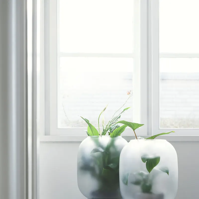 Gejst Nebl Big Blumentopf aus Glas und Keramik, Schwarz, Glas: Ø 26 cm, H 30 cm; Sockel: Ø 14,5 cm, H 13 cm, Ansicht 2