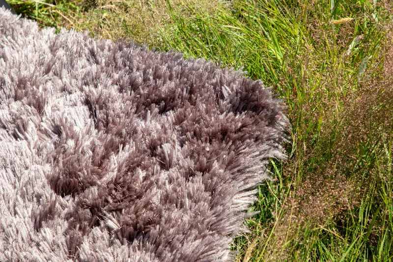 Grace Hochflor-Teppich mit Glanz in 300 × 200 cm, Braun, im Wohnraum, Ansicht 8