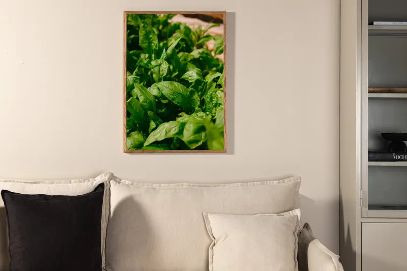 Gree leaf Poster mit Blättern in Nahaufnahme in 30 × 21 cm, im Wohnraum, Ansicht 2