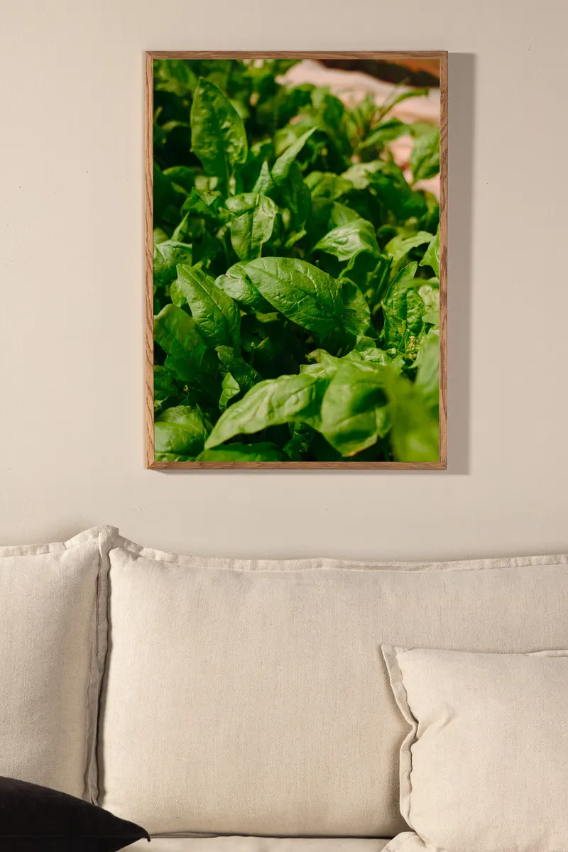 Gree leaf Poster mit Blättern in Nahaufnahme in 70 × 50 cm, im Wohnraum, Ansicht 1