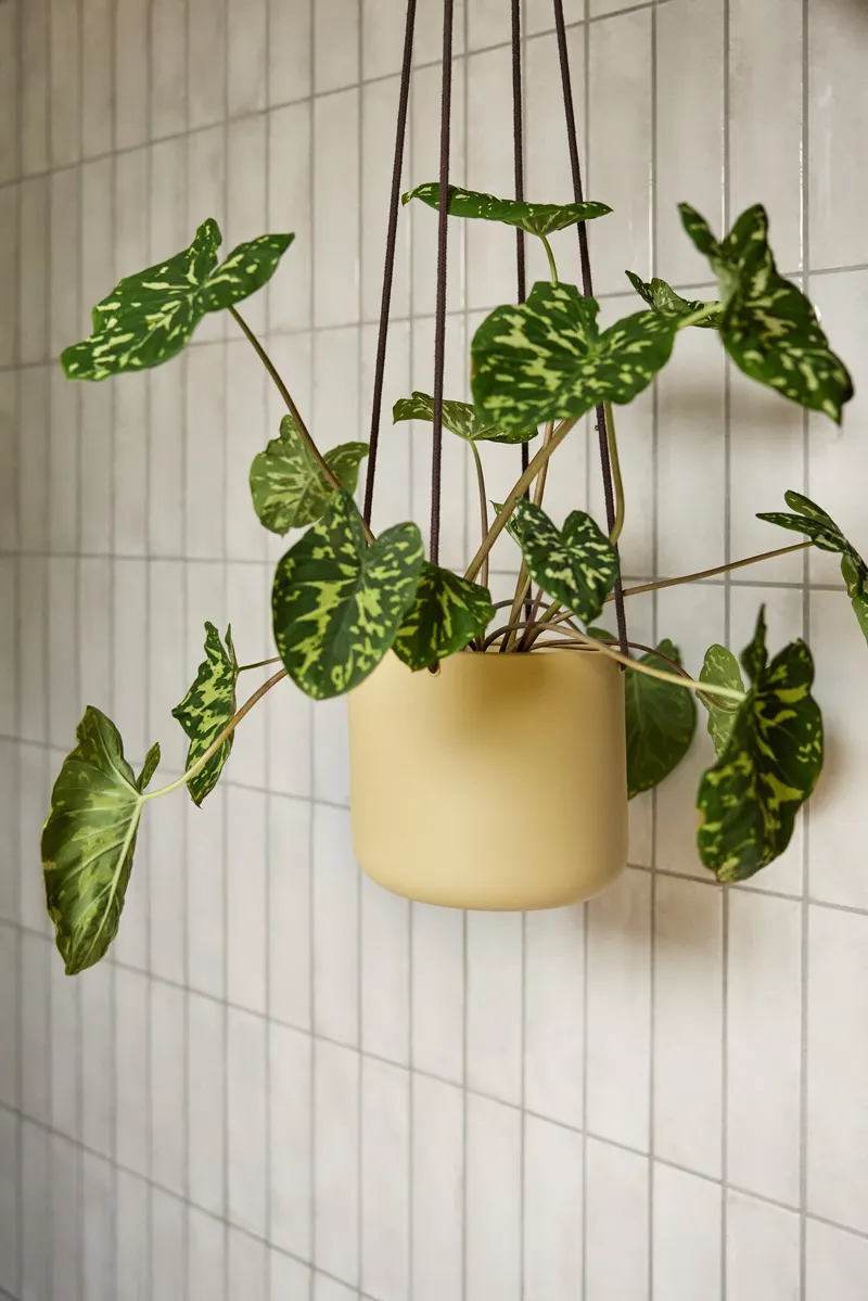 Hübsch Bloom Pflanzgefäßset in Beige und Braun, Ø 17 × H 16 und Ø 21 × H 20 und Ø 25 × H 24 cm, Ansicht 3