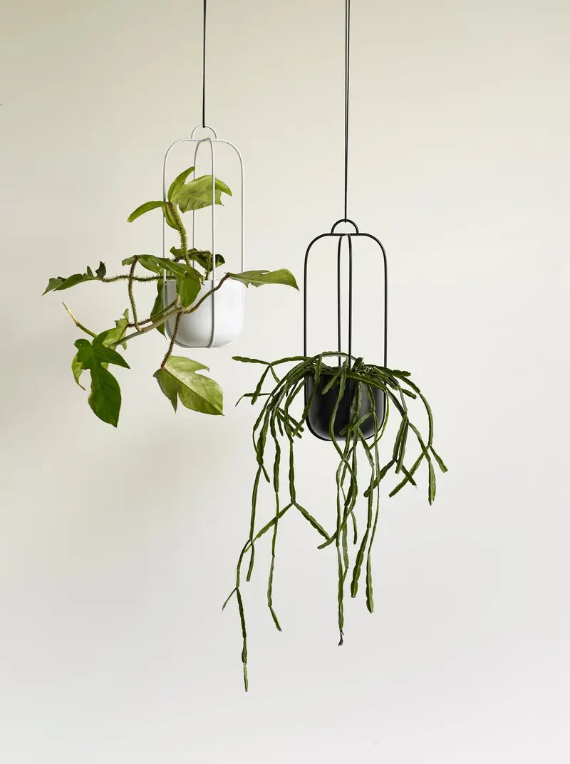 Hübsch Lotus Pflanzgefäßset in Schwarz, Ø 16 × H 44 cm