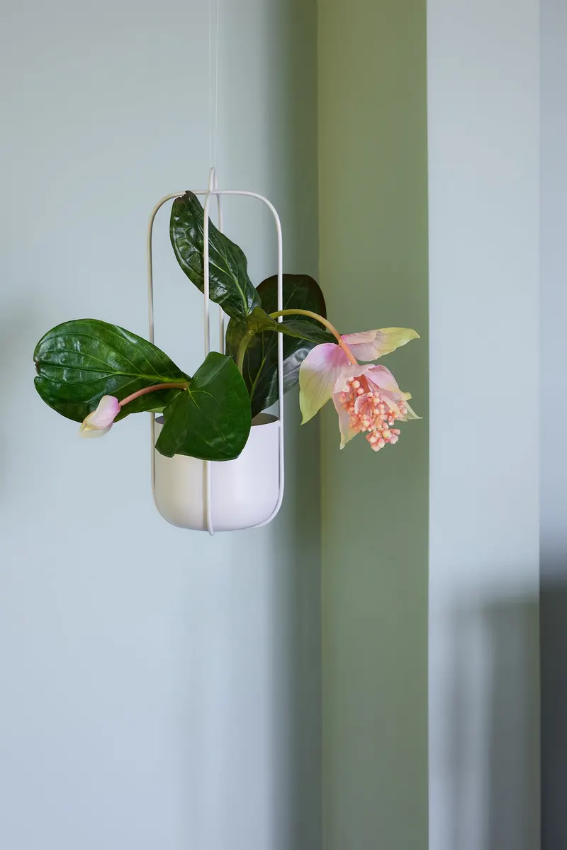 Hübsch Lotus Pflanzgefäßset in Hellgrau, Ø 16 × H 44 cm, Ansicht 2