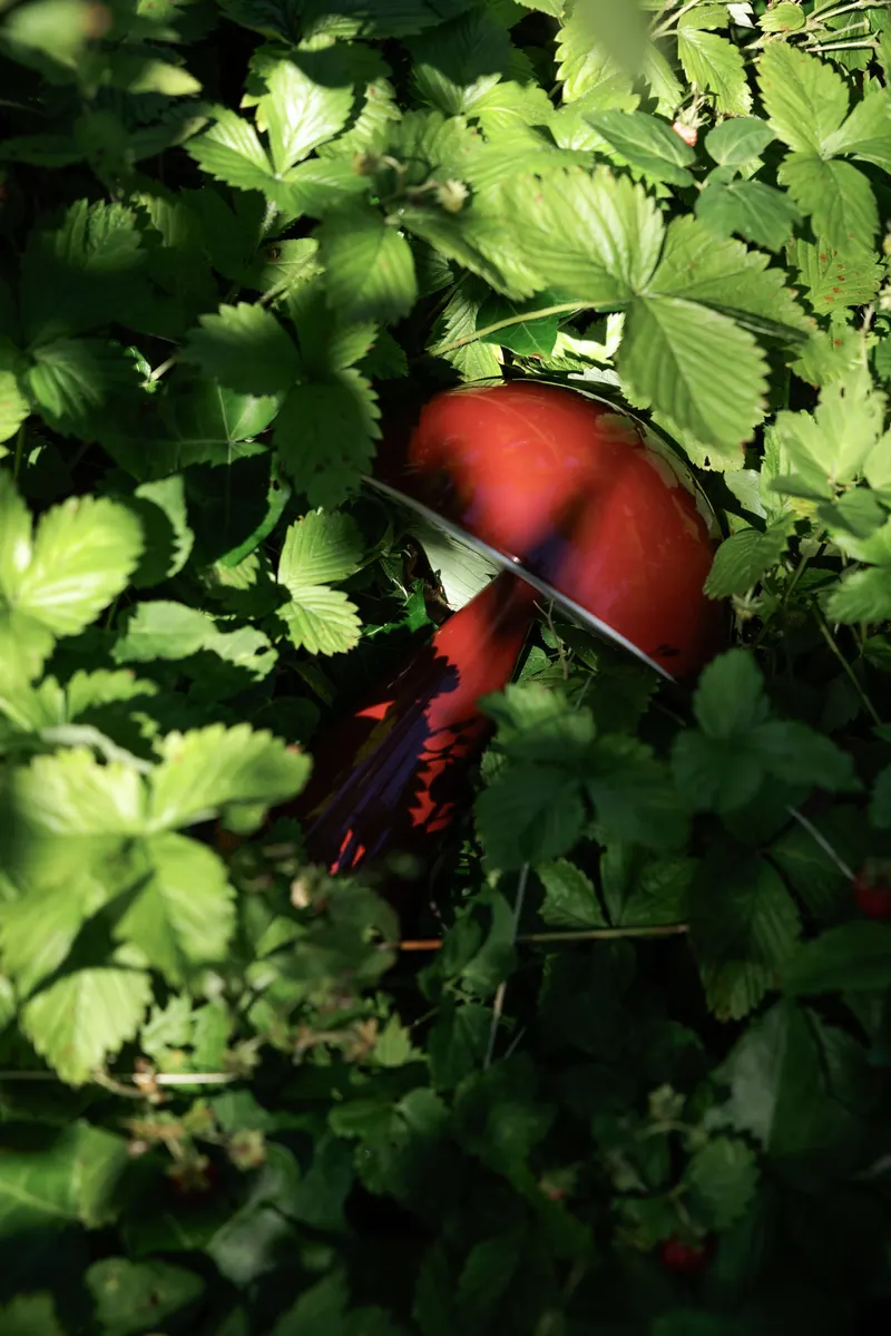 Hübsch Mush Akku-Tischleuchte in Rot, Ø 15 × H 20 cm, Ansicht 2