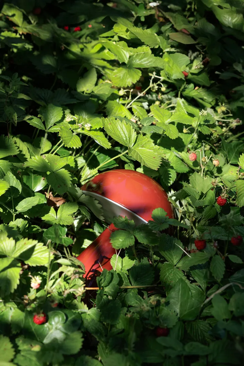 Hübsch Mush Akku-Tischleuchte in Rot, Ø 15 × H 20 cm, Ansicht 3