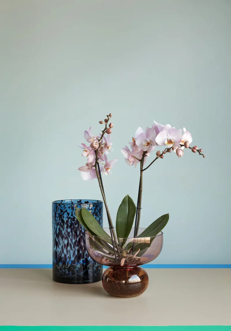 Hübsch Show Vase in Bernstein und Rosa, Ø 25 × H 20 cm, Ansicht 3
