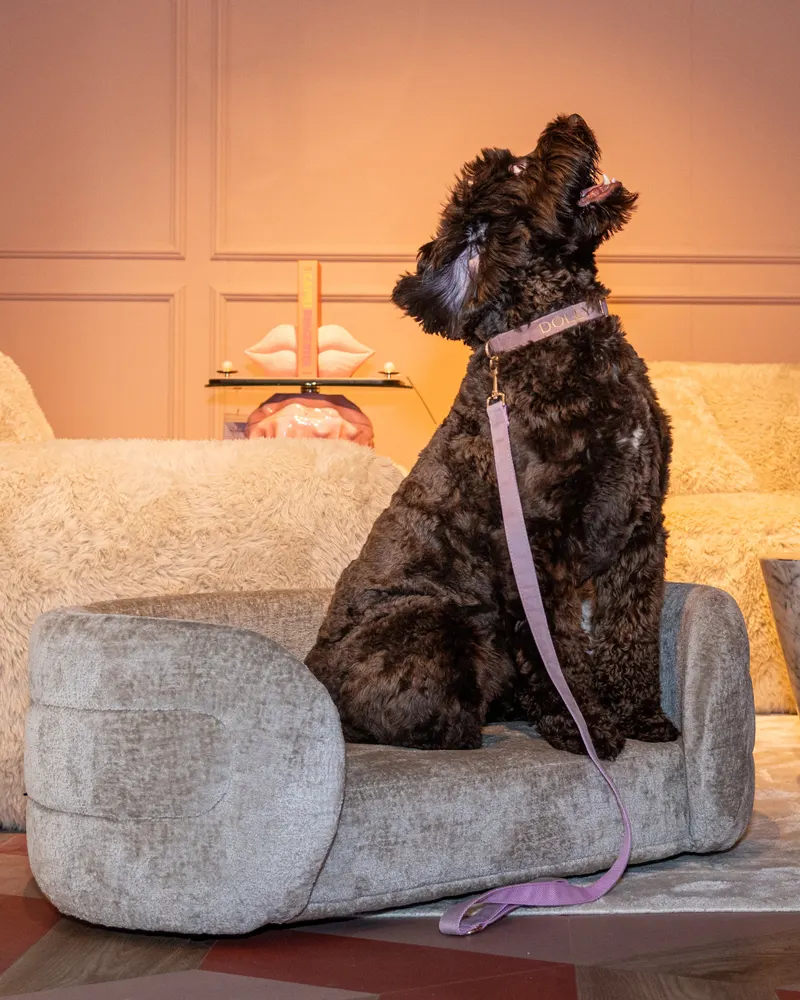 Hundebett Bingo, Clay Chenille von Richmond Interiors, Wohnbeispiel 7, im Wohnraum