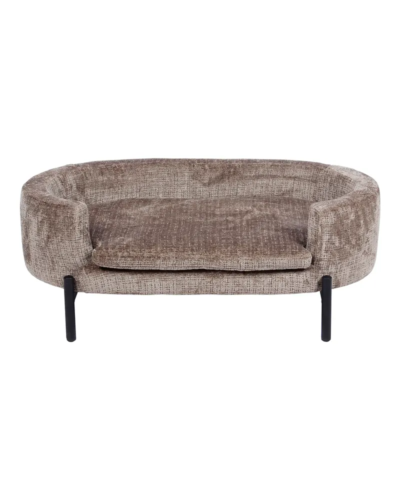 Hundebett Dolly, Niagara stone