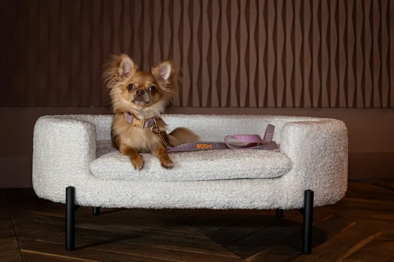 Hundebett Dolly, Sheep white von Richmond Interiors, Wohnbeispiel 5, im Wohnraum