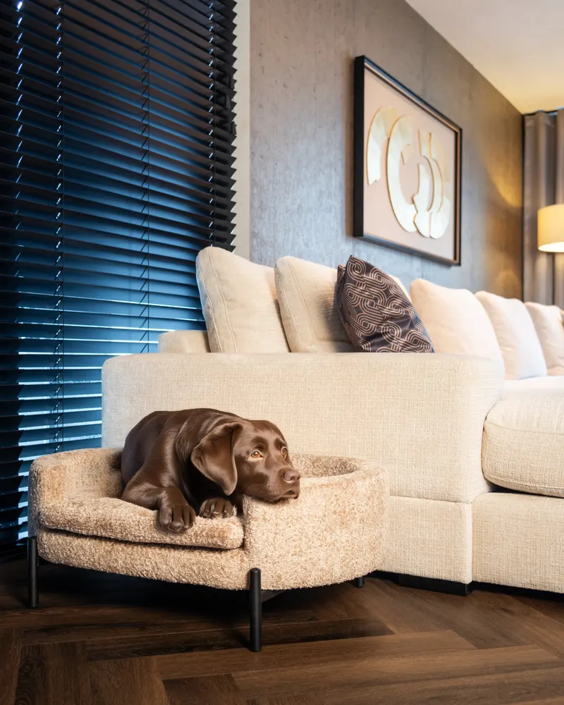 Wandbild Eden, Schwarz/Goldfarben von Richmond Interiors, Wohnbeispiel 18, im Wohnraum