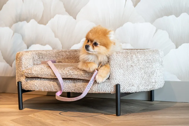 Hundebett Dolly, Beige blockweave von Richmond Interiors, Wohnbeispiel 9, im Wohnraum