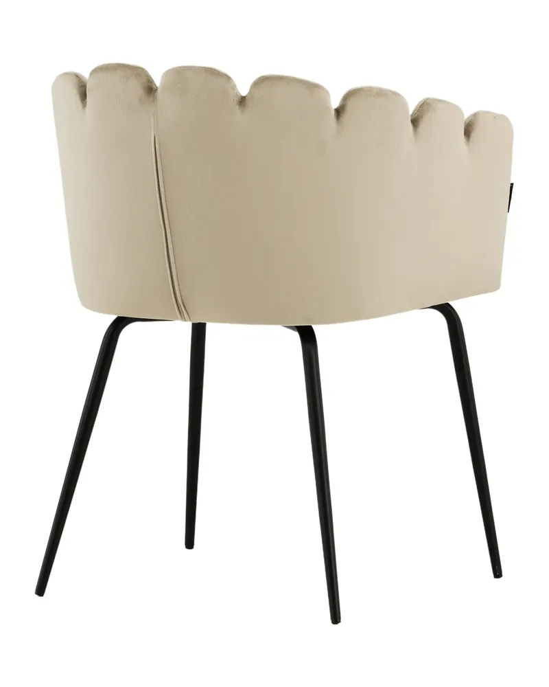 Limhamn Esszimmerstuhl mit Armlehnen und Samtbezug in Beige, Gestell Schwarz, Ansicht 11