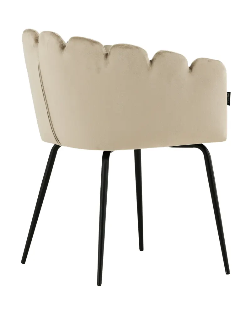 Limhamn Esszimmerstuhl mit Armlehnen und Samtbezug in Beige, Gestell Schwarz, Ansicht 12