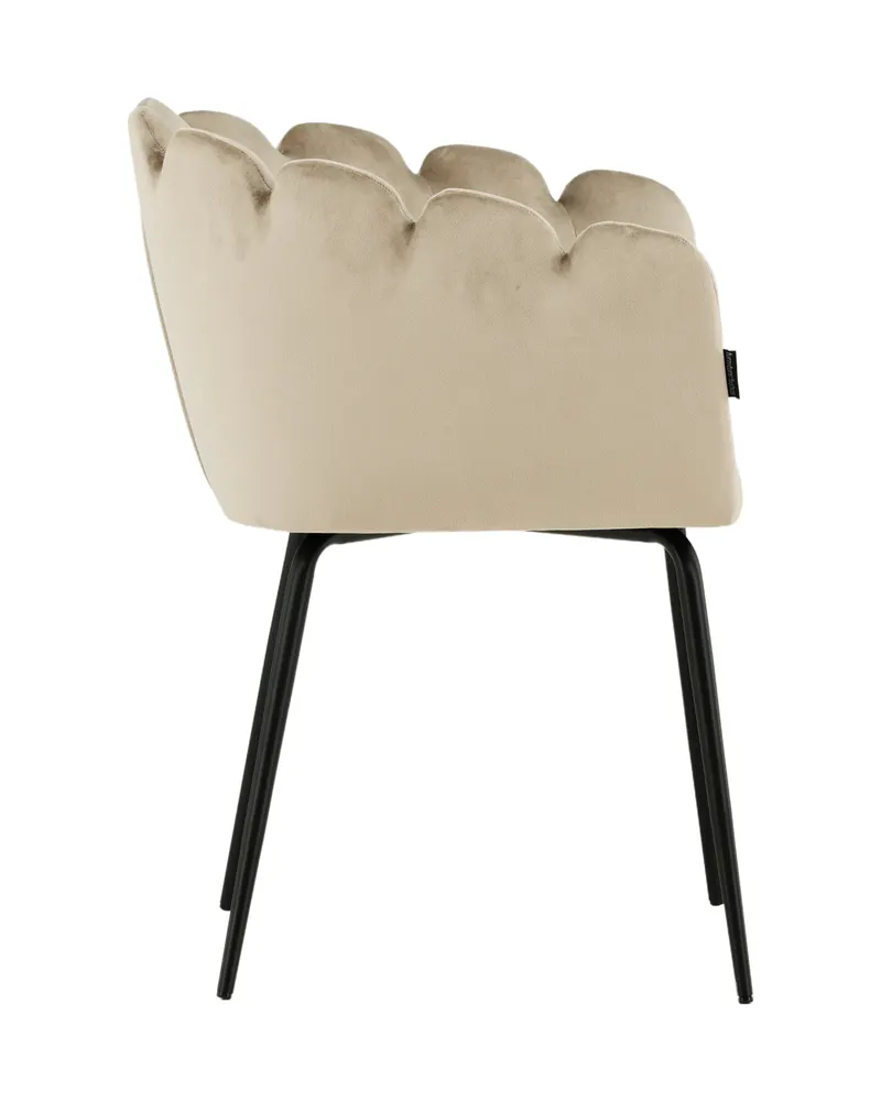 Limhamn Esszimmerstuhl mit Armlehnen und Samtbezug in Beige, Gestell Schwarz, Ansicht 5