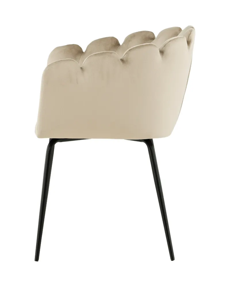 Limhamn Esszimmerstuhl mit Armlehnen und Samtbezug in Beige, Gestell Schwarz, Ansicht 8