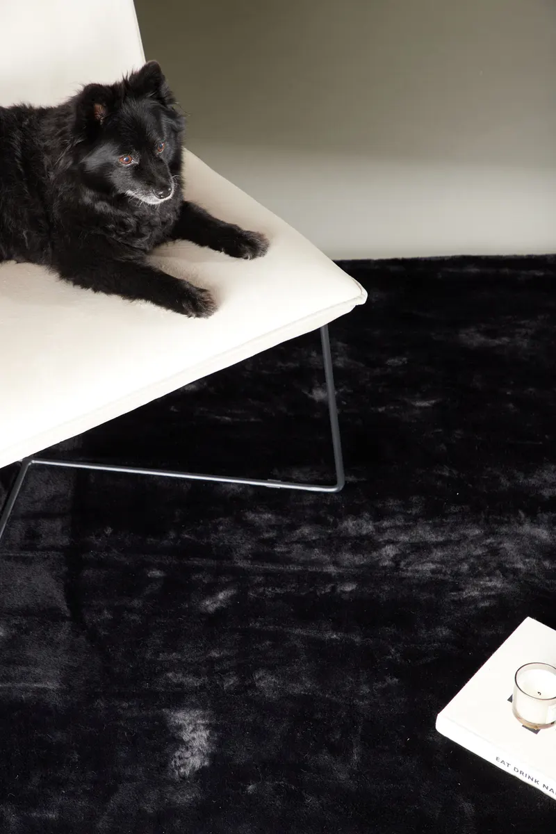Nina Teppich rechteckig mit Schimmer in 230 × 160 cm, Schwarz, im Wohnraum, Ansicht 4