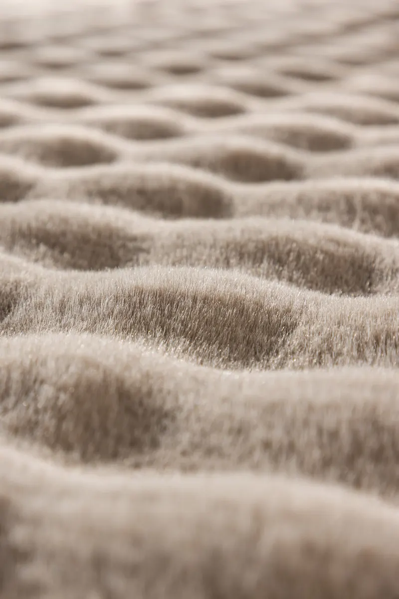 Novis Teppich mit Karostruktur in Beige, im Wohnraum, Ansicht 5