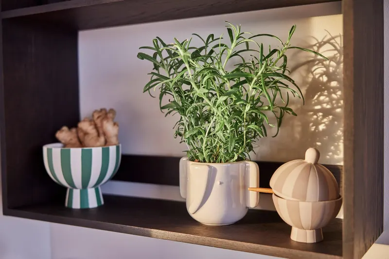 Toppu Bonbonniere von OYOY Living, Clay, Ansicht 3