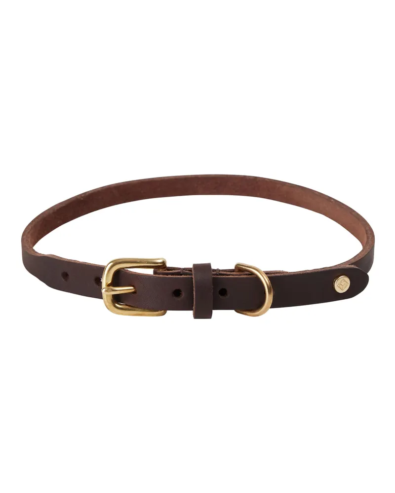 Hundehalsband Robin aus Leder mit Messingdetails, Schokoladenbraun