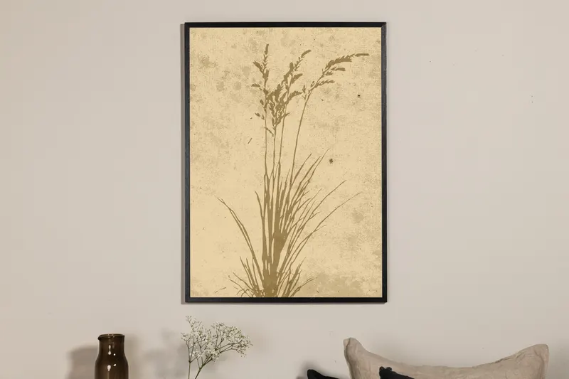 Plant art Poster mit illustrierten Gräsern in 70 × 50 cm, im Wohnraum, Ansicht 2