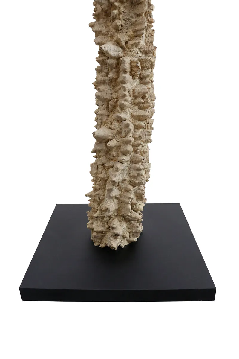 Stehleuchte Treibholz Natur/Weiß 150 cm, Ansicht 10