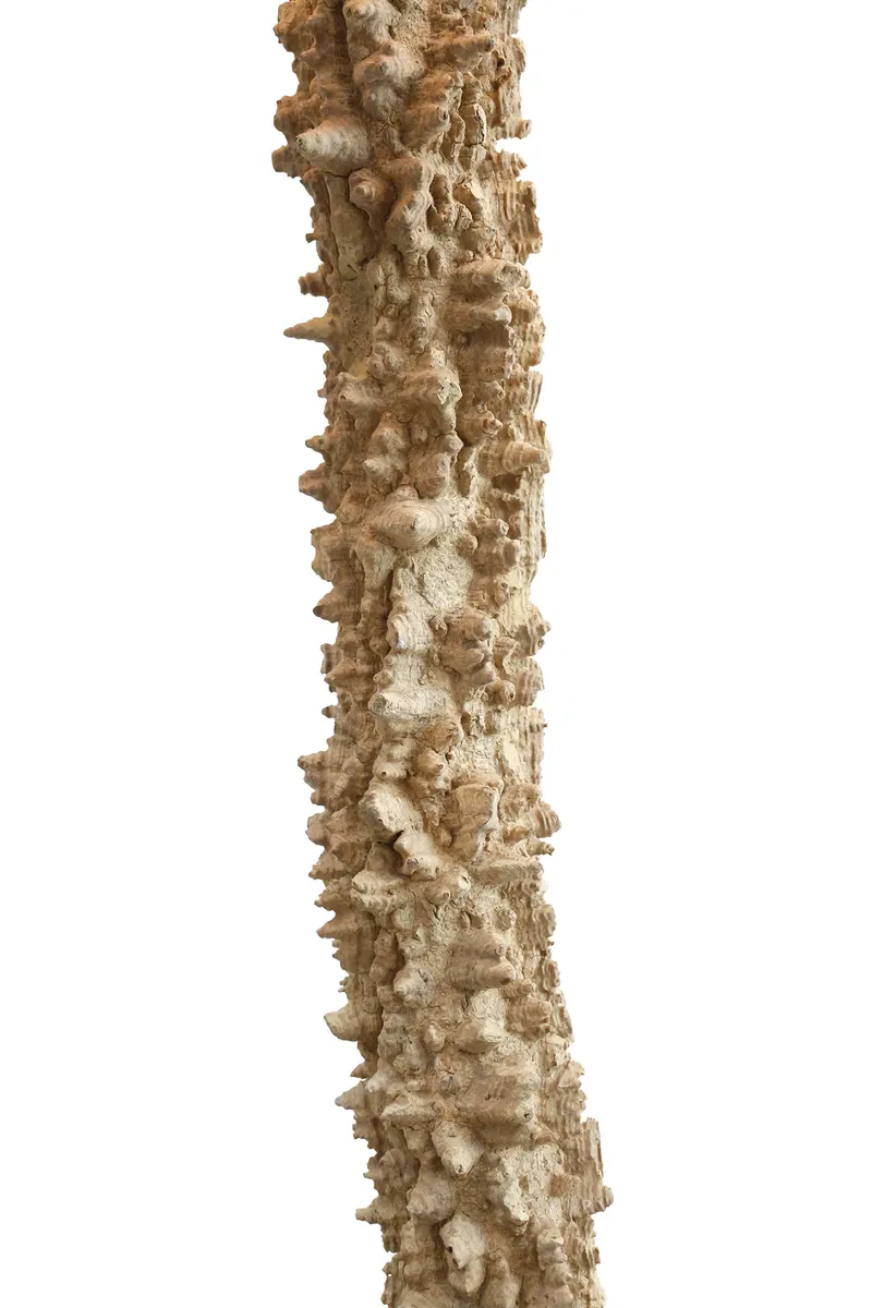 Stehleuchte Treibholz Natur/Weiß 150 cm, Ansicht 9