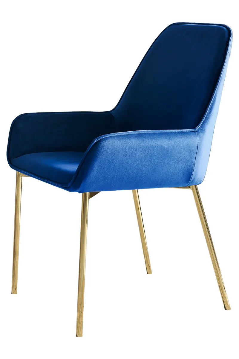 Esszimmerstuhl 2er Set Blau Samt, Ansicht 3