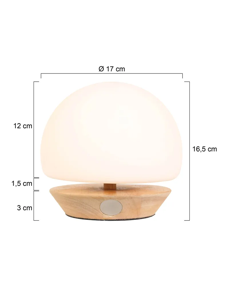 Steinhauer Ancilla Tischlampe mit Touchdimmer in Büche, Ansicht 12