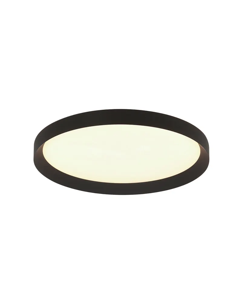 Flady LED-Deckenleuchte mit austauschbarem LED-Modul in Schwarz, Ansicht 1