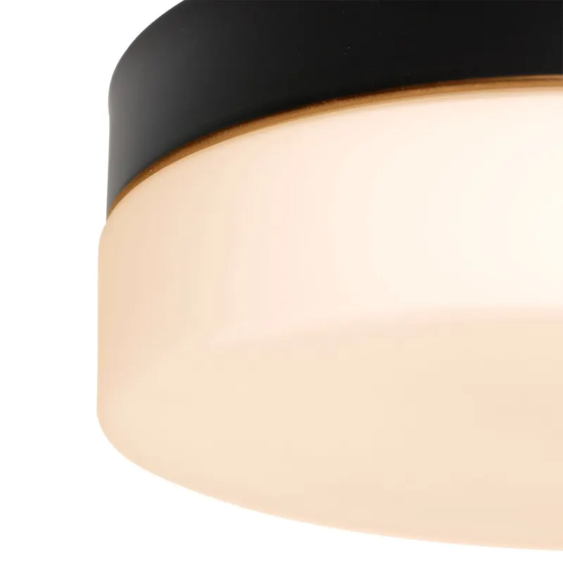 Steinhauer Ikaro Deckenleuchte mit austauschbarem LED-Modul in Weiß, Schwarz, Ansicht 10