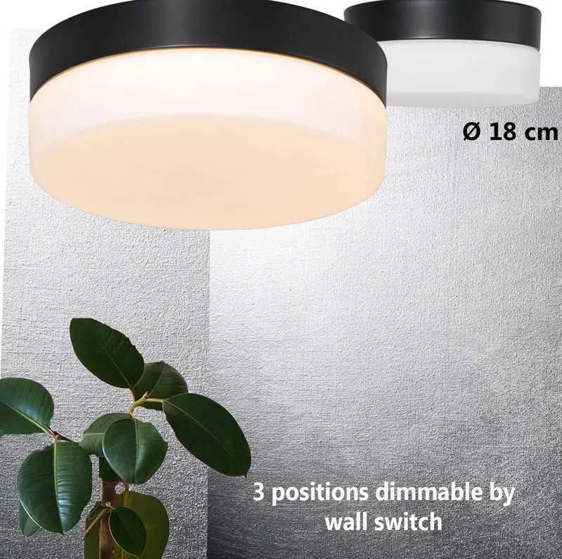 Steinhauer Ikaro Deckenleuchte mit austauschbarem LED-Modul in Weiß, Schwarz, Ansicht 14