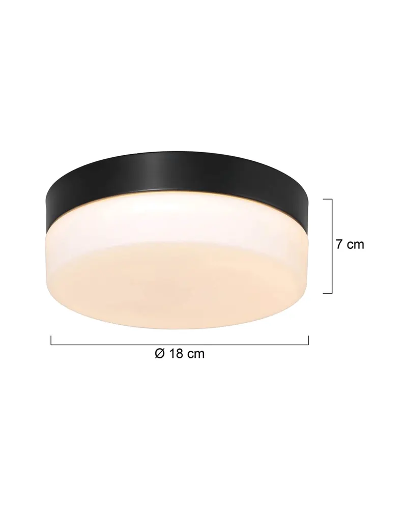 Steinhauer Ikaro Deckenleuchte mit austauschbarem LED-Modul in Weiß, Schwarz, Ansicht 7