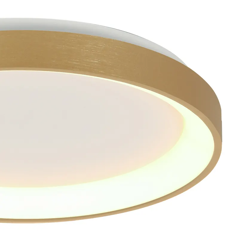 Steinhauer Ringlede LED-Deckenleuchte in Gold, Ansicht 10