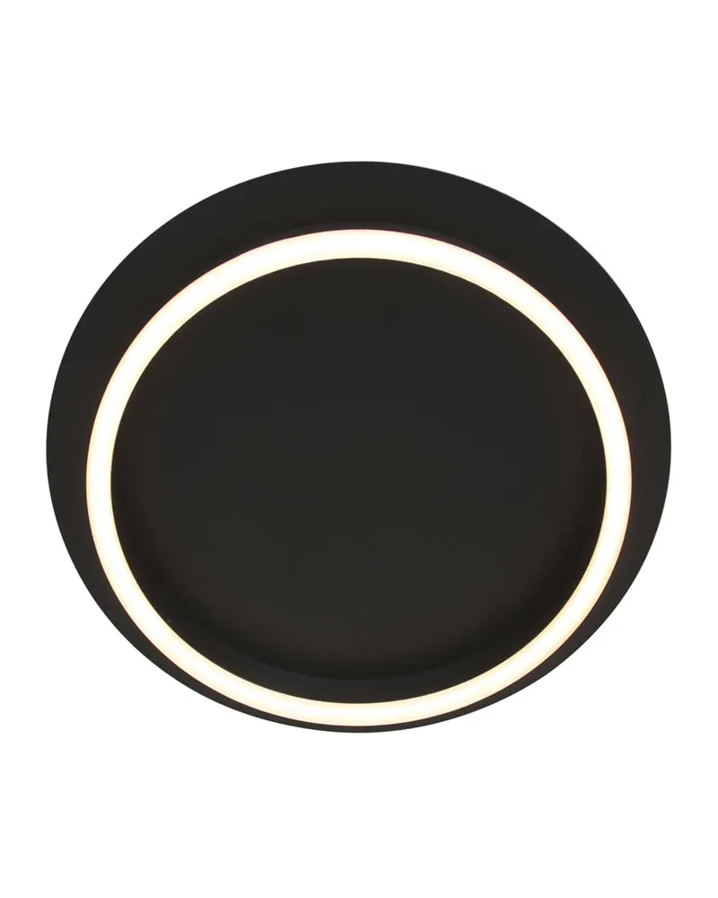 Steinhauer Ringlux Deckenleuchte mit dimmbarem LED-Modul in Schwarz, Ansicht 4