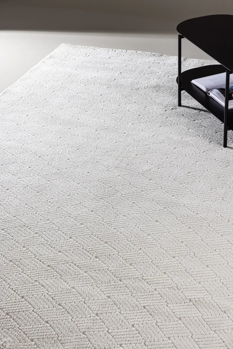 Todd Teppich rechteckig in 230 × 160 cm, im Wohnraum, Ansicht 1