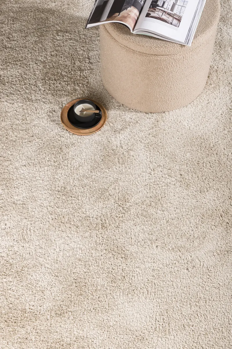 Walter Teppich rechteckig mit flauschigem Flor in 340 × 240 cm, Beige, im Wohnraum, Ansicht 1