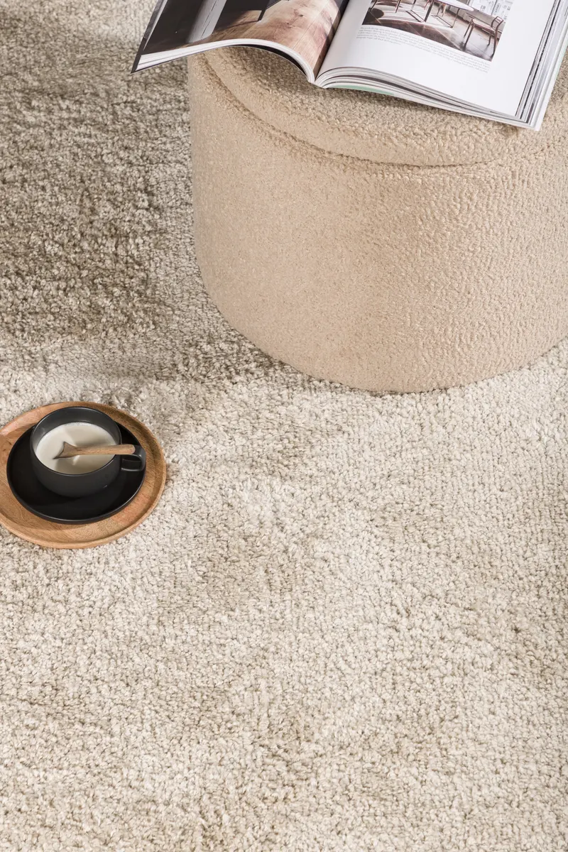 Walter Teppich rechteckig mit flauschigem Flor in 340 × 240 cm, Beige, im Wohnraum, Ansicht 2