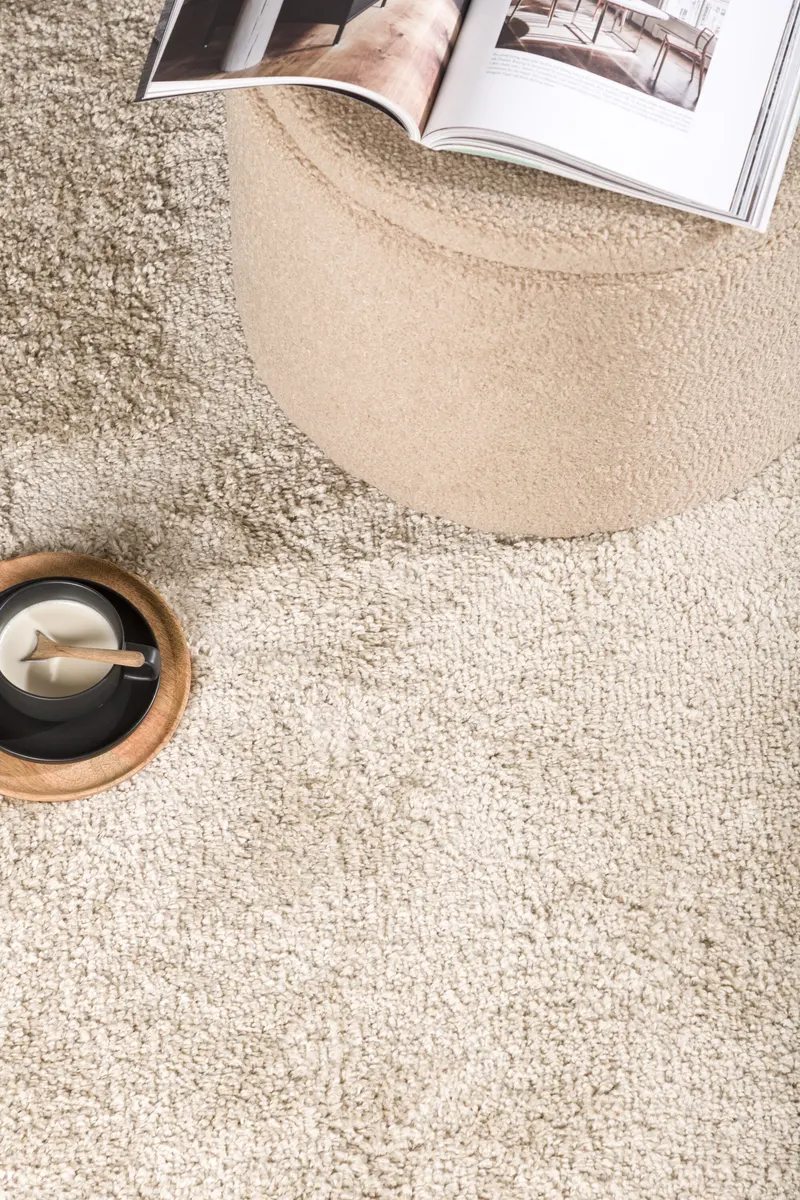 Walter Teppich rechteckig mit flauschigem Flor in 340 × 240 cm, Beige, im Wohnraum, Ansicht 6