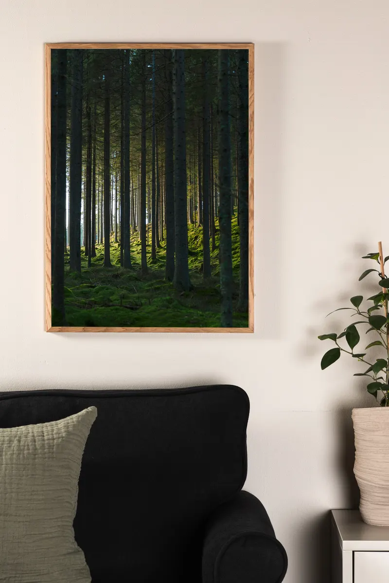 Woods Poster mit Blick in einen dichten Wald in 100 × 70 cm, im Wohnraum, Ansicht 1